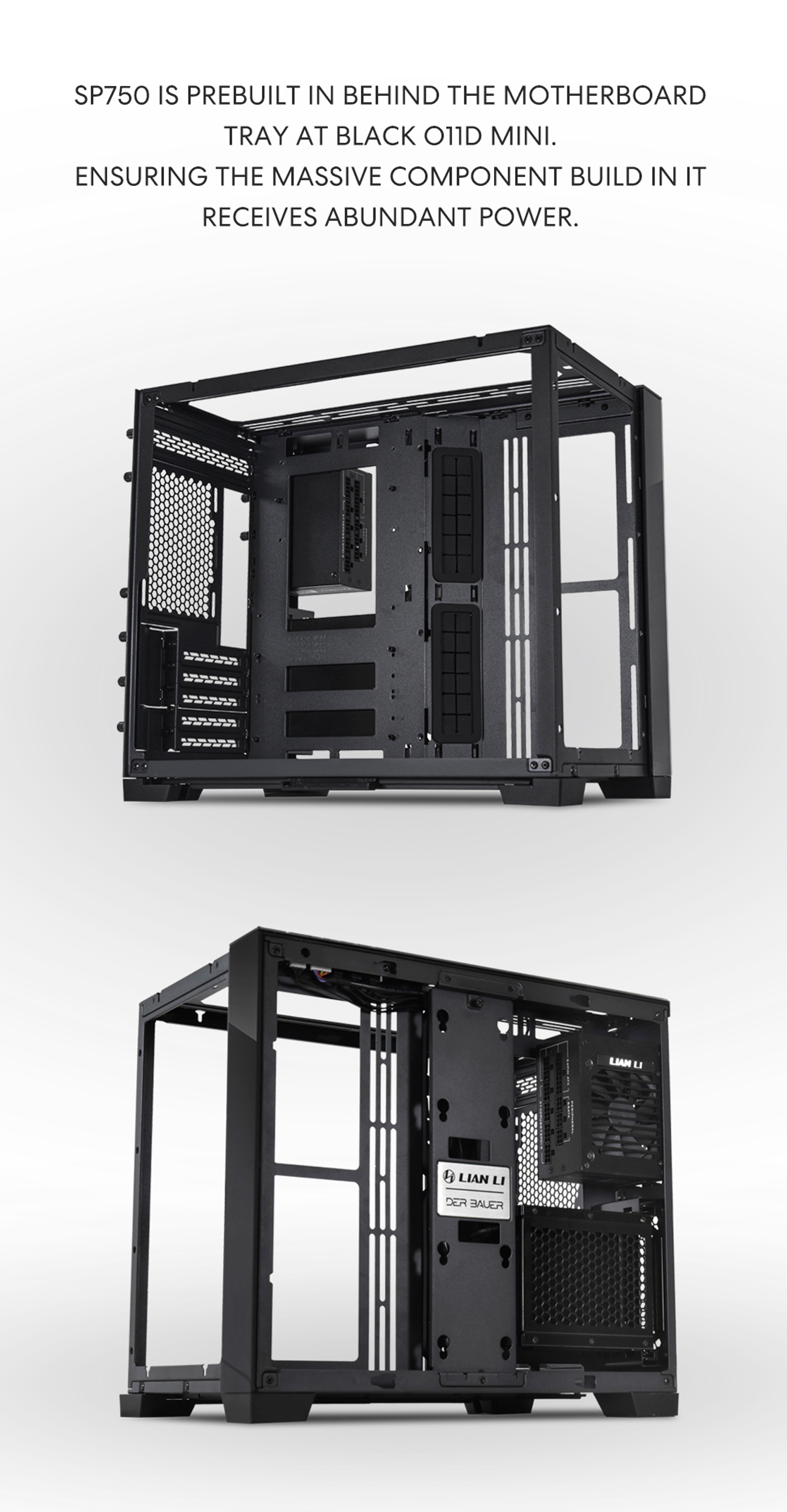 LIAN LI Cases
